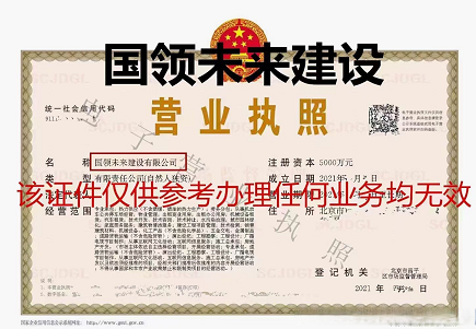 国家局国字头公司转让-国字头公司转让的利与弊